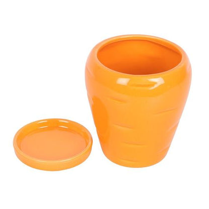 Carrot-shaped plant pot with parsley seed balls and matching water tray for growing herbs