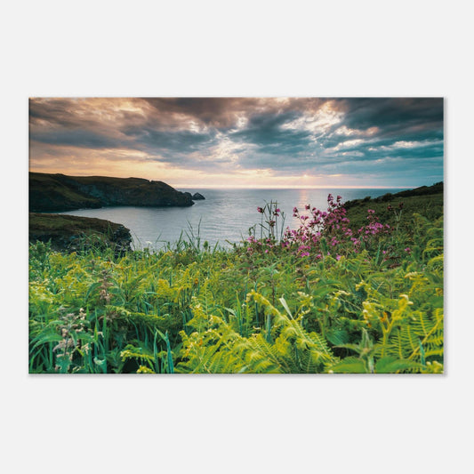 Cornwall landscape at sunset featuring Trethevy wildflowers