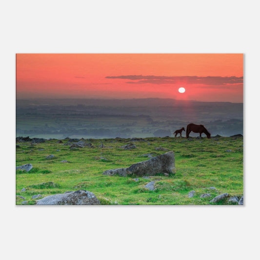Peaceful Dartmoor moorland scene with horse and foal at twilight, printed on canvas.