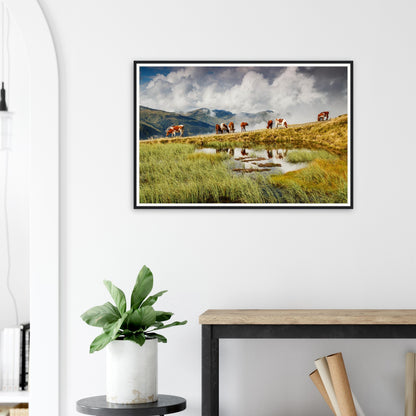 Small pond reflecting cows and fells in Austrian Alps framed print