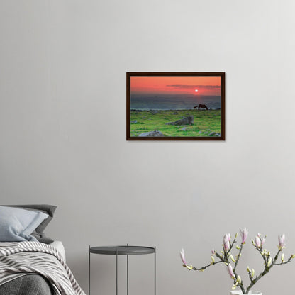 Silhouette of mare and foal in red sunset on Dartmoor moorland