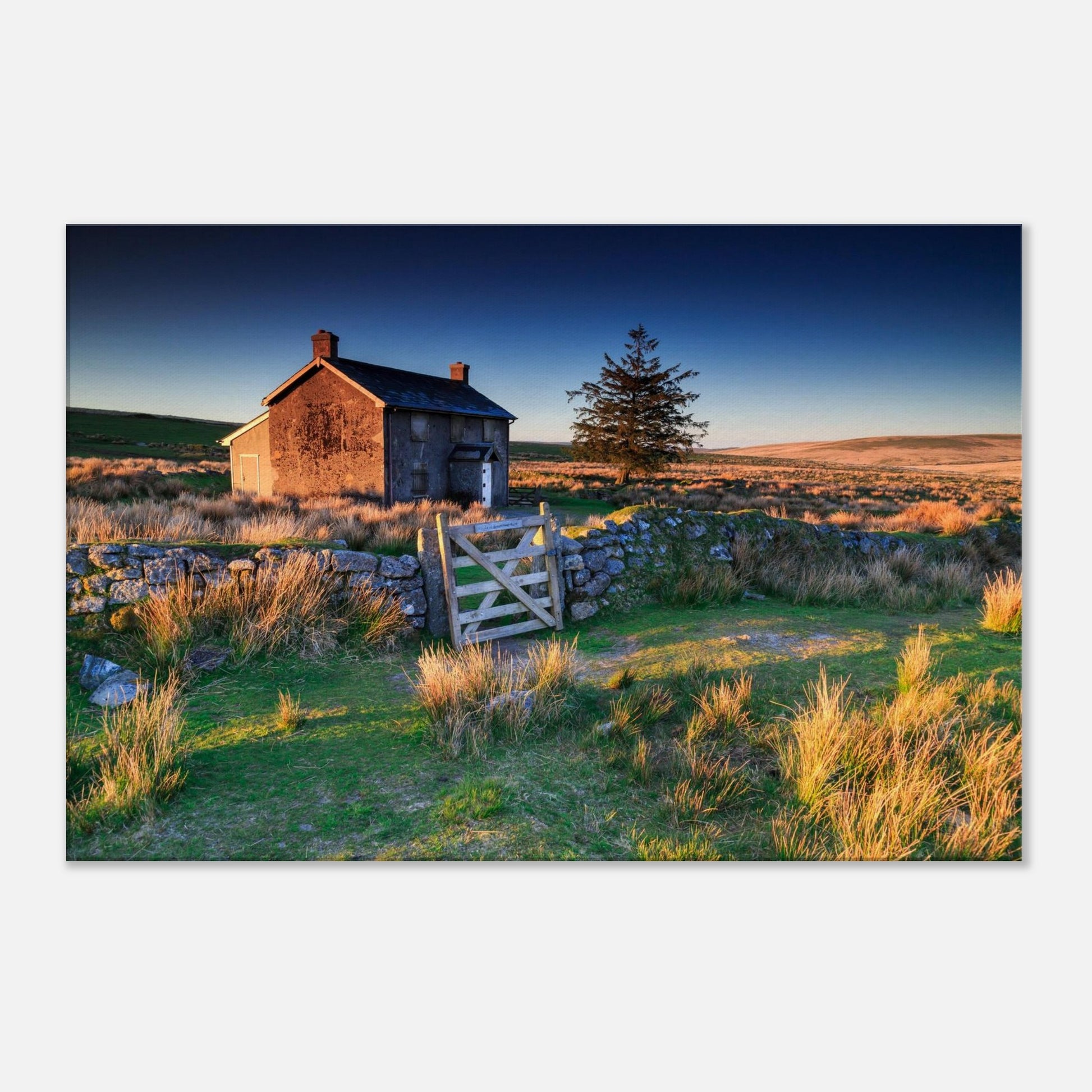 Dartmoor moorland bathed in golden light at Nun’s Cross Farm, canvas wall art.