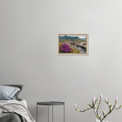 Summer bloom in Snowdonia National Park print