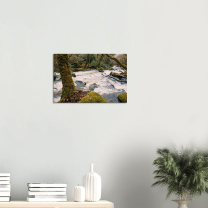 Natural woodland scene with energetic river flow through Dartmoor moorland