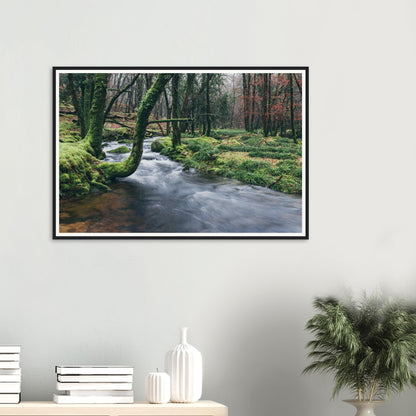 Scenic framed landscape print of mossy Dartmoor woodland river