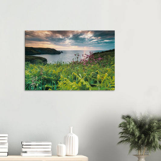 Trethevy Tintagel canvas print with golden hour coastal light