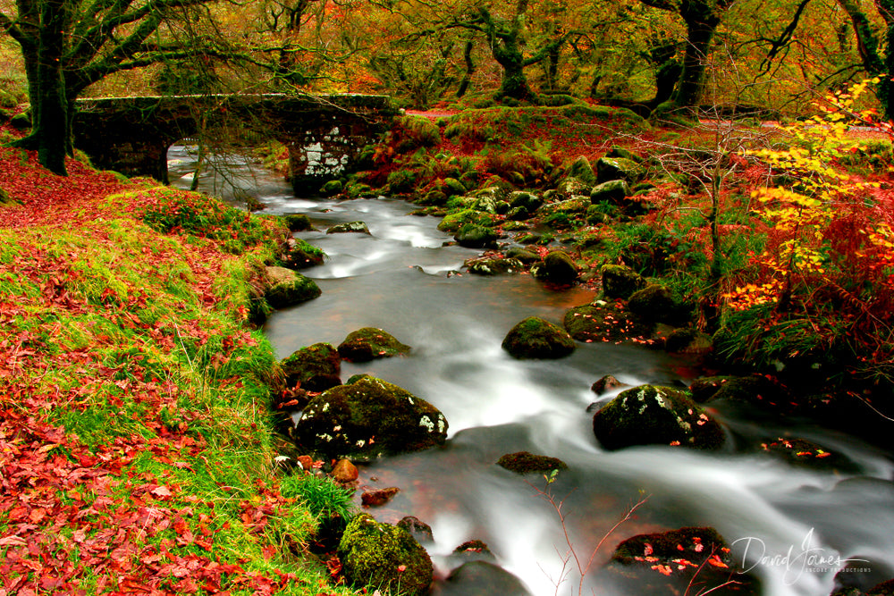 Riverscape, Burrator Reservoir, Dartmoor