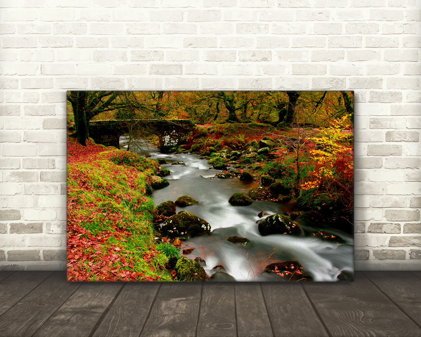 Riverscape, Burrator Reservoir, Dartmoor