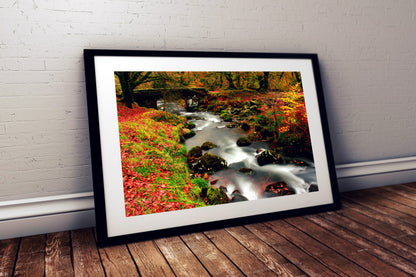 Riverscape, Burrator Reservoir, Dartmoor