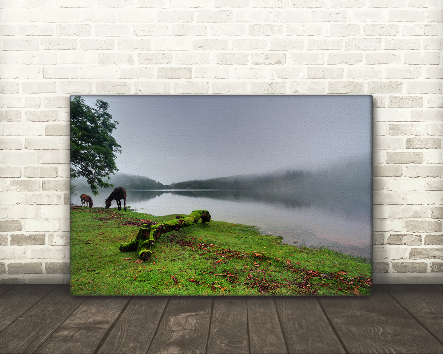 Riverscape, Burrator Reservoir, Dartmoor