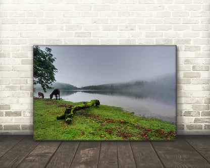 Riverscape, Burrator Reservoir, Dartmoor