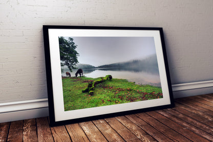 Riverscape, Burrator Reservoir, Dartmoor