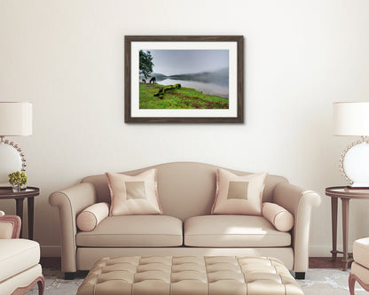 Riverscape, Burrator Reservoir, Dartmoor