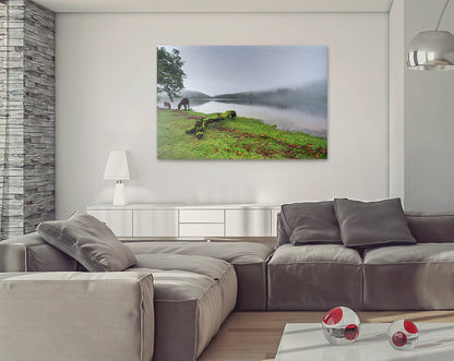 Riverscape, Burrator Reservoir, Dartmoor