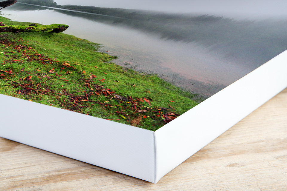 Riverscape, Burrator Reservoir, Dartmoor