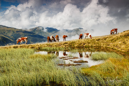 Landscape, Panoramabahn, Austria