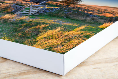 Landscape, Nun’s Cross Farm, Dartmoor National Park