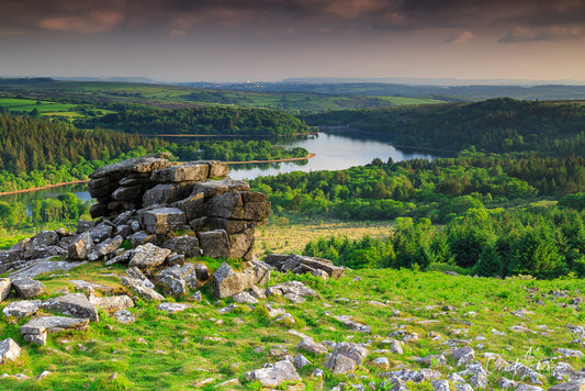 Landscape, Leather Tor, Dartmoor National Park