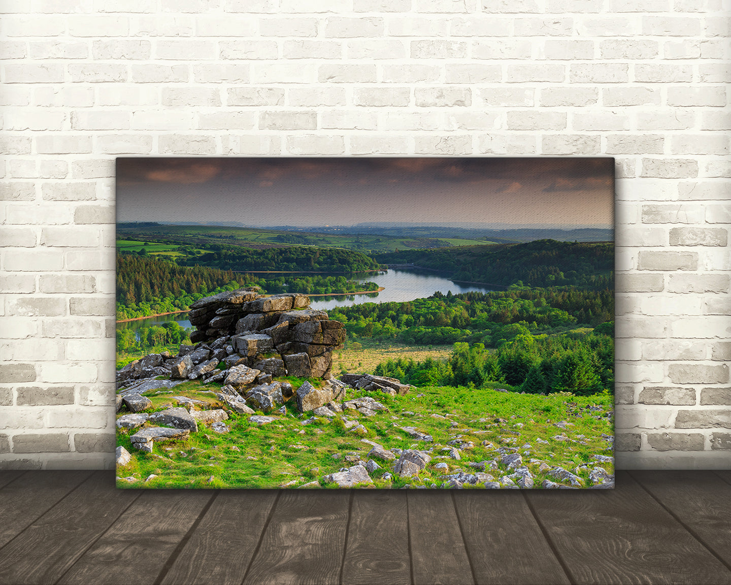 Landscape, Leather Tor, Dartmoor National Park