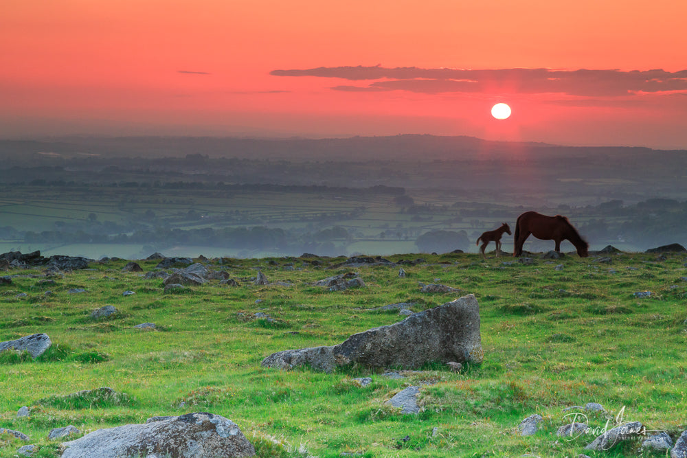 Sunset, Dartmoor National Park