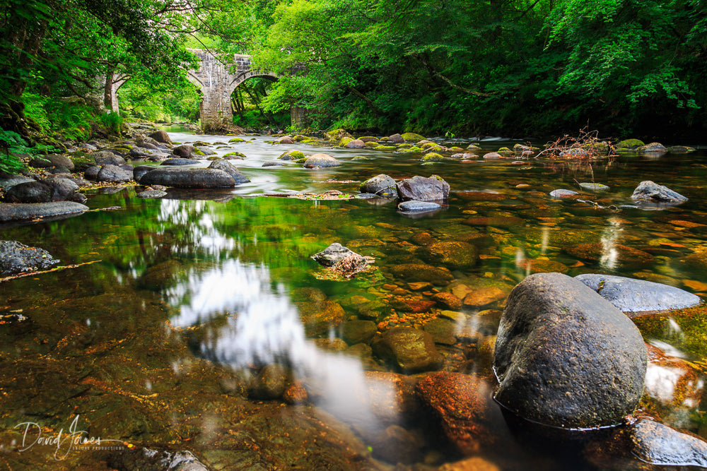 Riverscape, Newbridge, River Dart, Dartmoor National Park