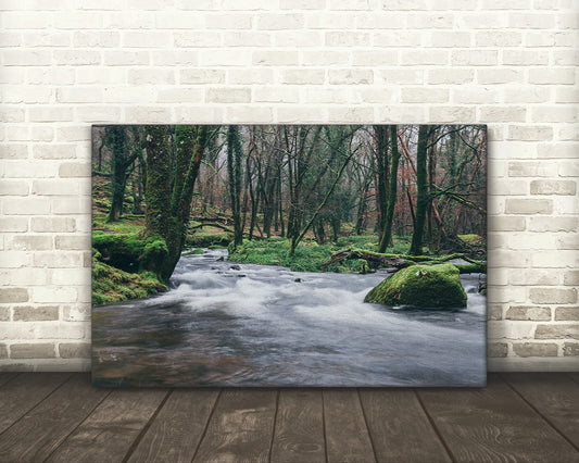 River Meavy Dartmoor National Park woodland river scene