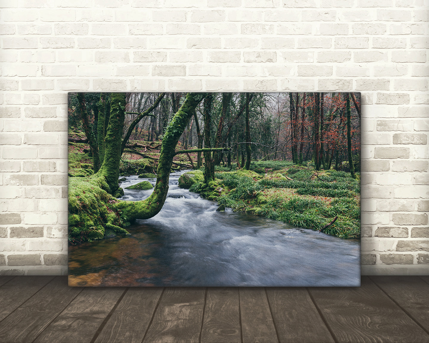 Riverscape, River Meavy, Dartmoor National Park