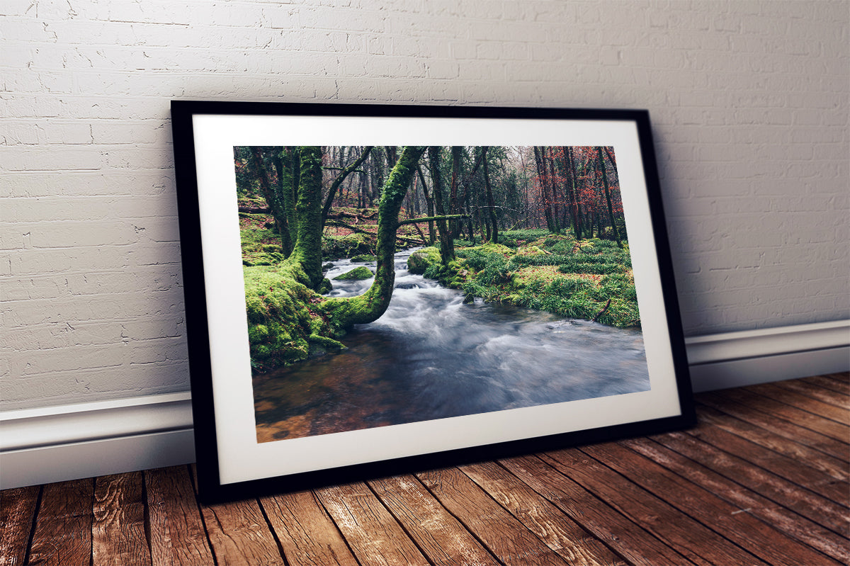 Riverscape, River Meavy, Dartmoor National Park