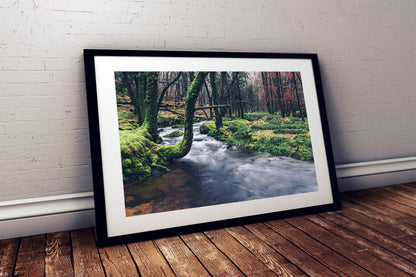 Riverscape, River Meavy, Dartmoor National Park