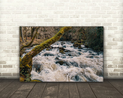 Riverscape, River Plym, Shaugh Prior, Dartmoor National Park