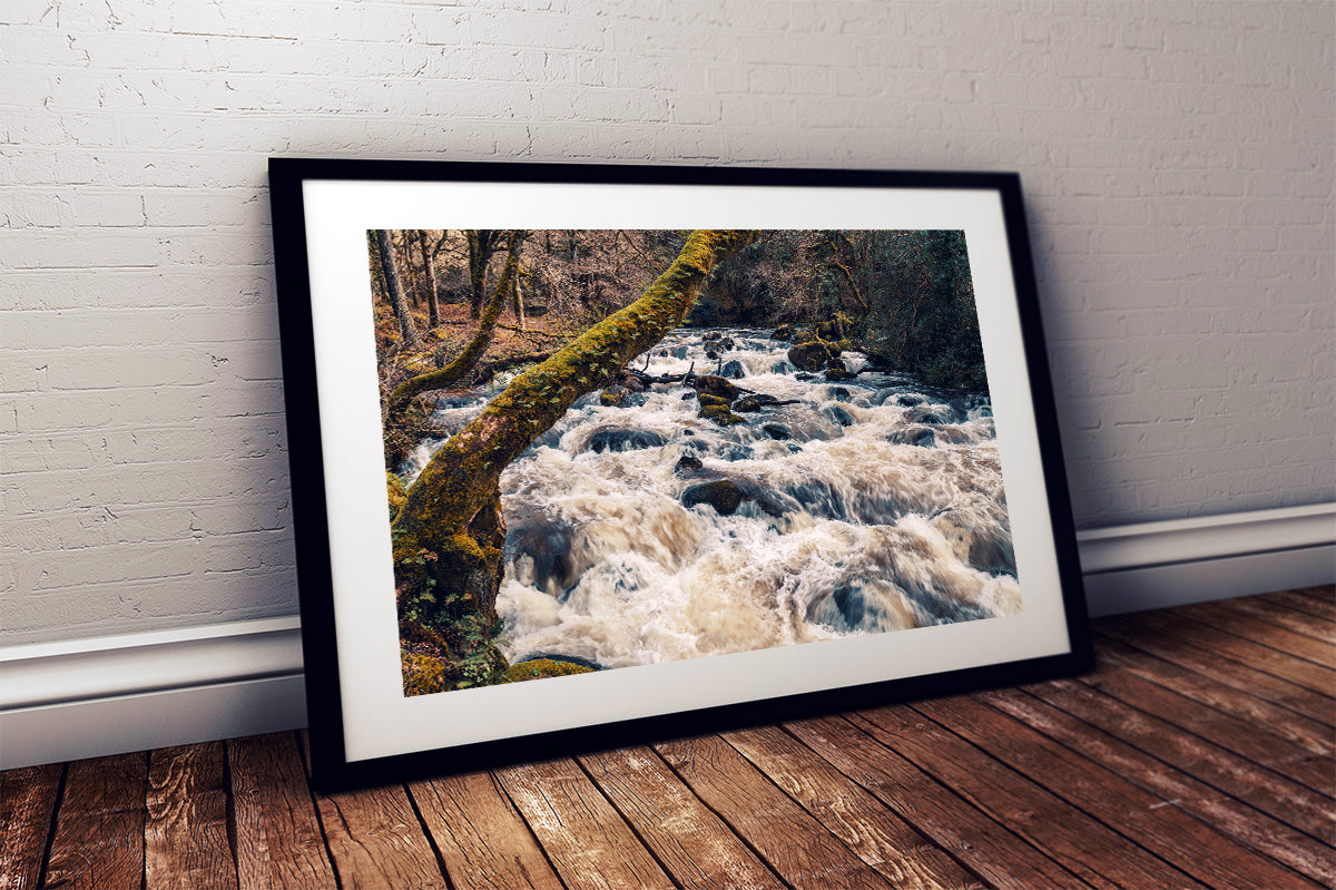 Riverscape, River Plym, Shaugh Prior, Dartmoor National Park