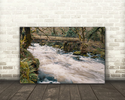 Riverscape, River Plym, Shaugh Prior, Dartmoor National Park