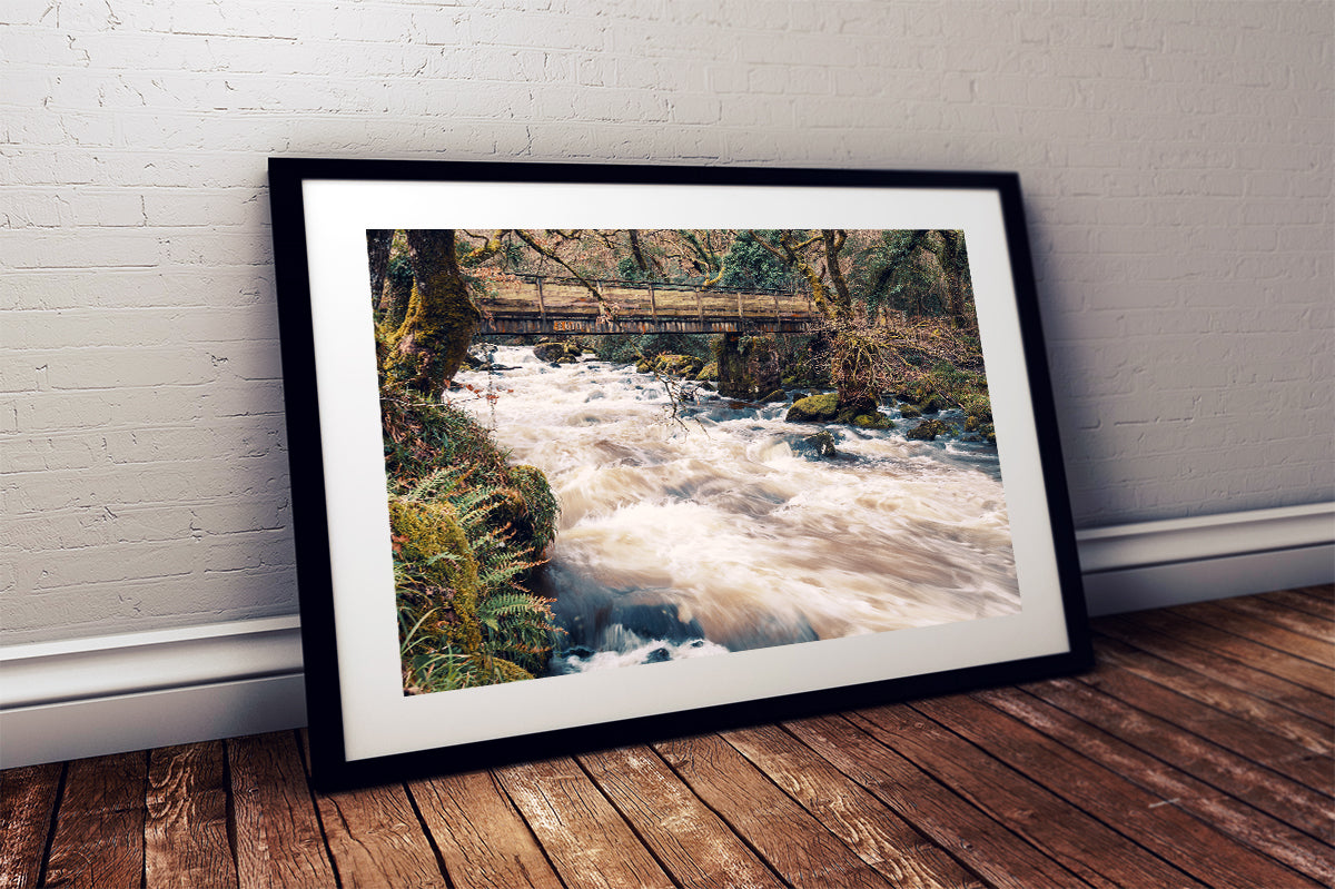 Riverscape, River Plym, Shaugh Prior, Dartmoor National Park