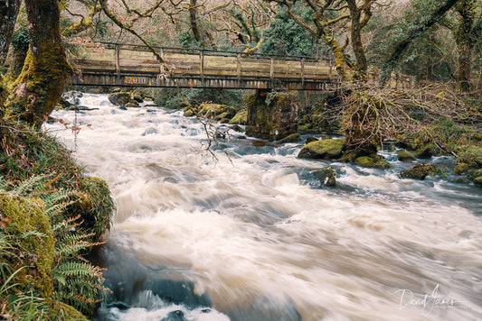 Riverscape, River Plym, Shaugh Prior, Dartmoor National Park