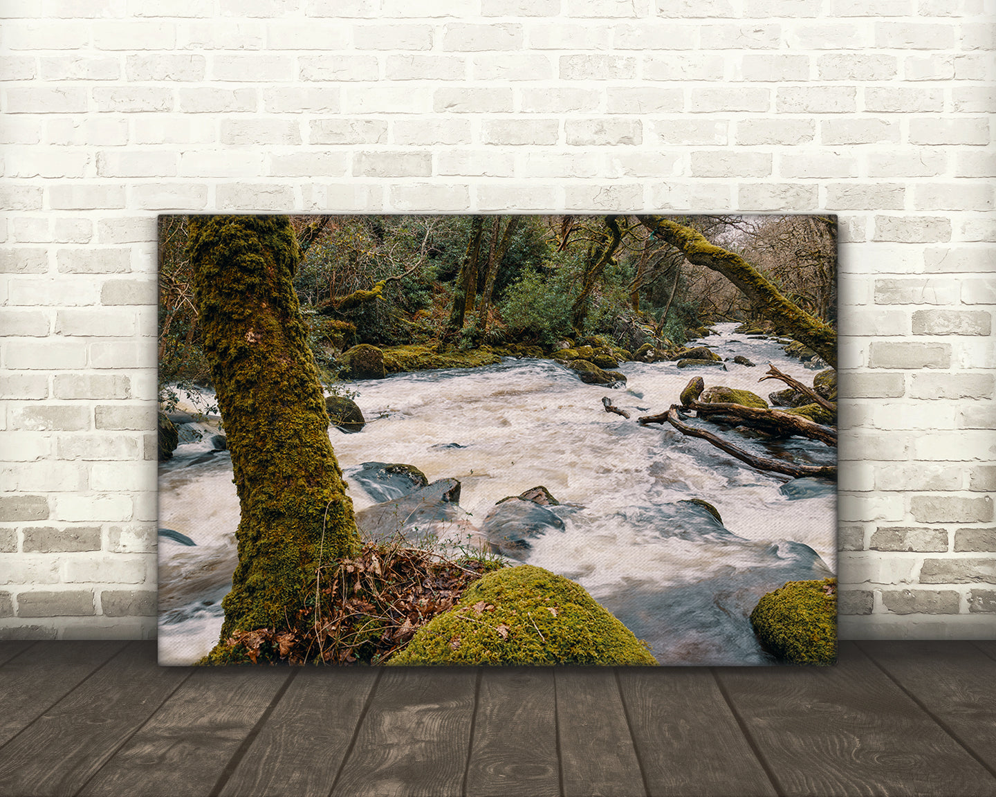 Riverscape, River Plym, Shaugh Prior, Dartmoor National Park