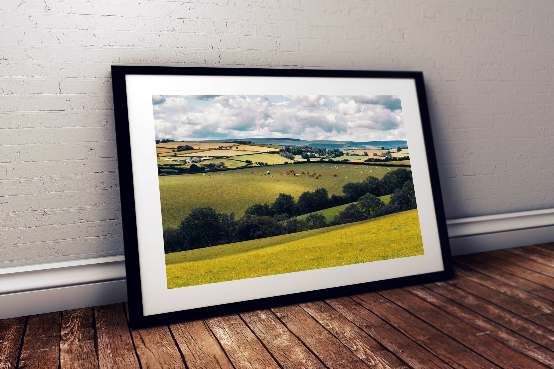 Rolling hills Dartmoor farmland landscape photography