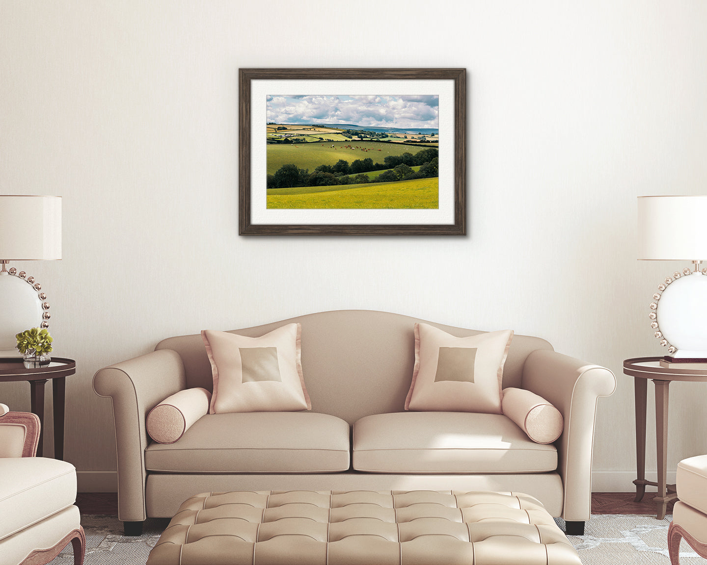 Cattle grazing fields Dartmoor National Park photo