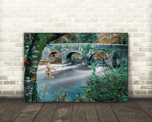 Plymbridge Woods Plympton stone bridge photo