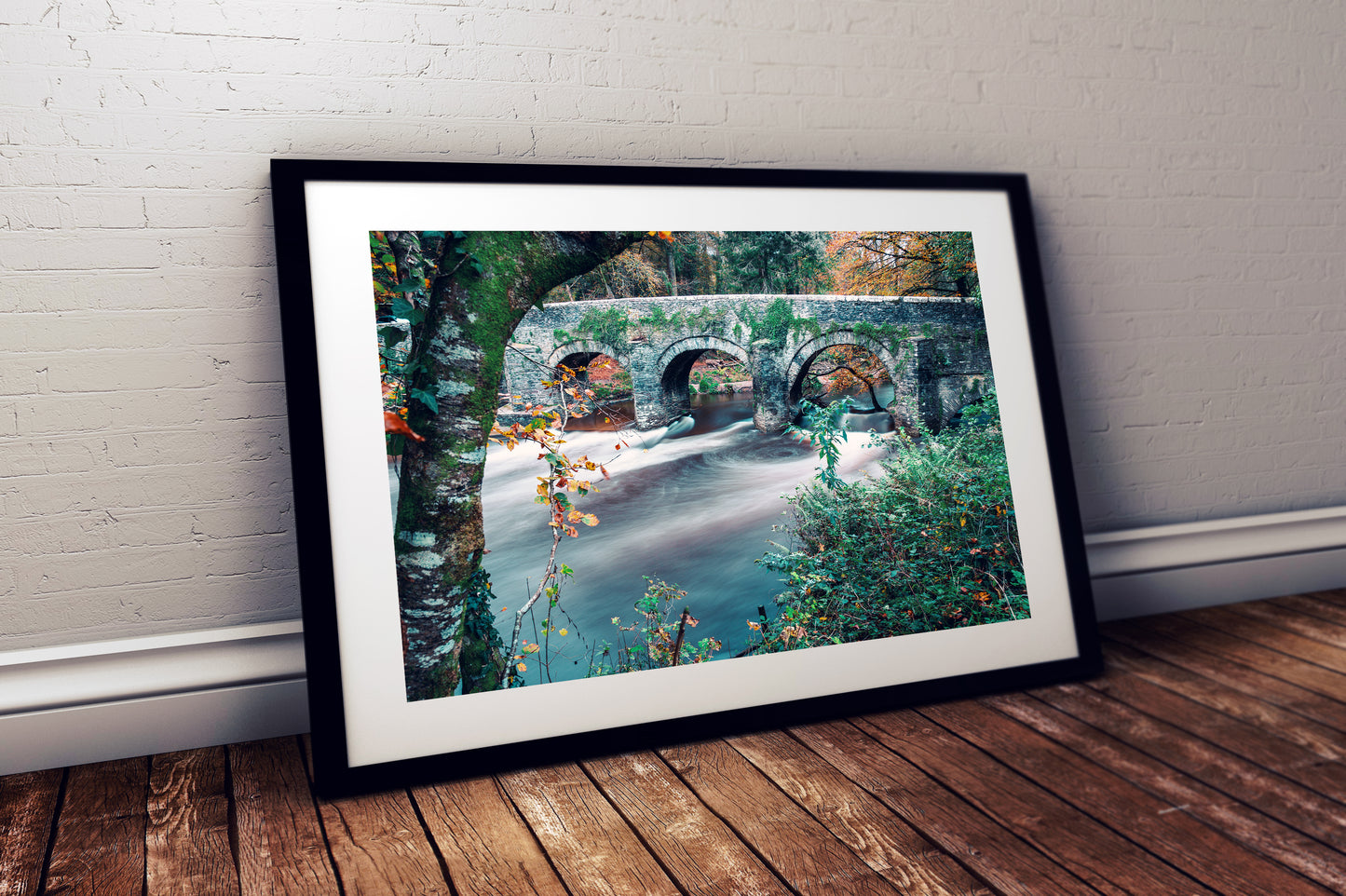 Woodland and river scene Plymbridge Woods print
