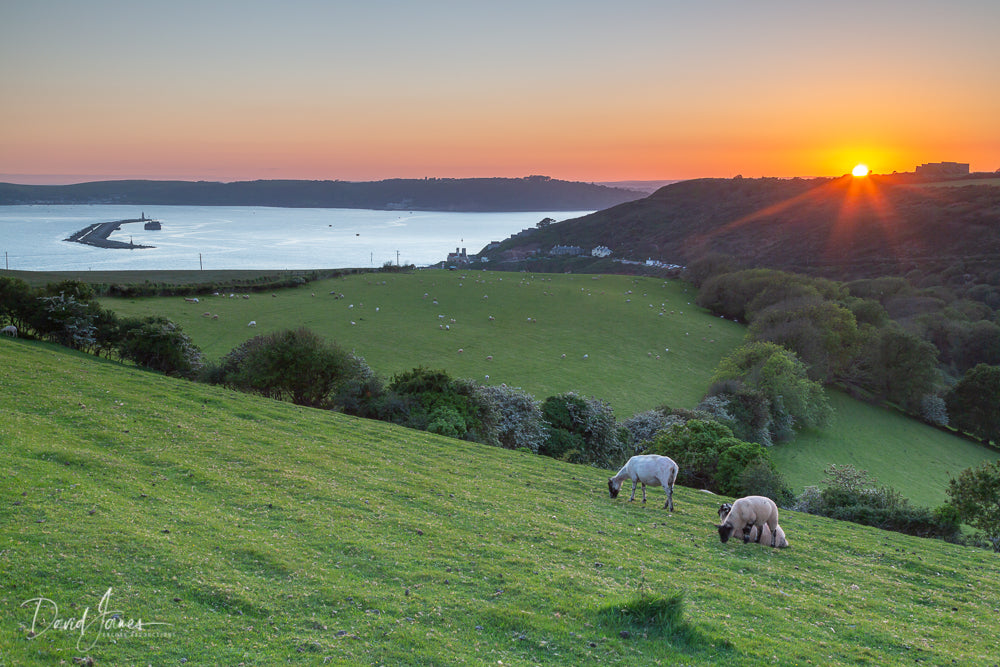 Sunset, Plymouth Sound, Devon