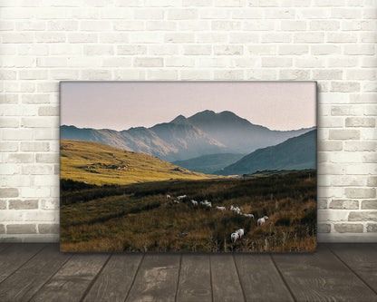 Landscape, Snowdonia National Park, Wales