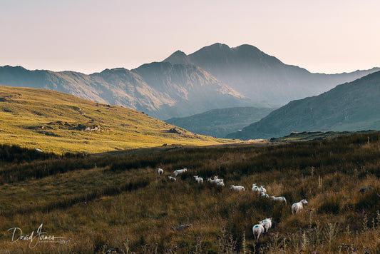 Landscape, Snowdonia National Park, Wales