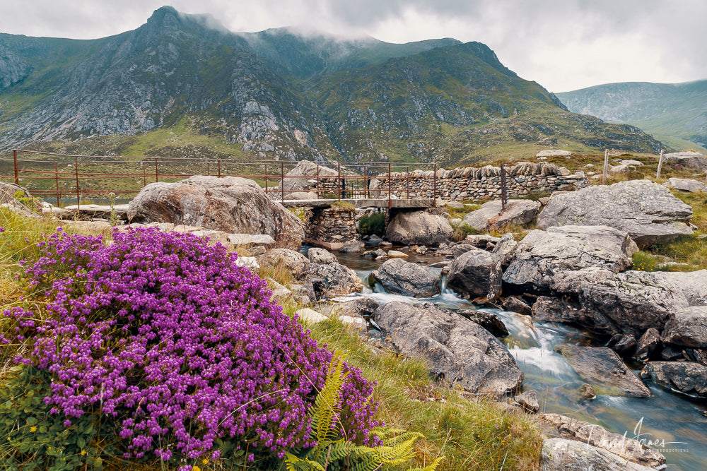 Riverscape, Llyn Idwal, Snowdonia National Park