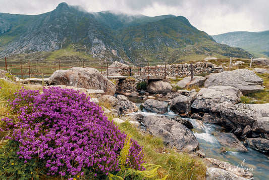 Riverscape, Llyn Idwal, Snowdonia National Park