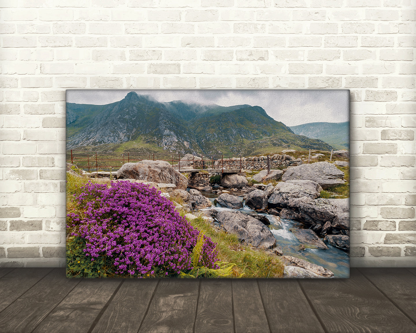 Riverscape, Llyn Idwal, Snowdonia National Park