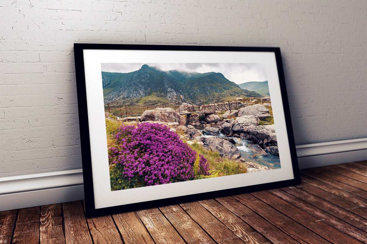 Riverscape, Llyn Idwal, Snowdonia National Park