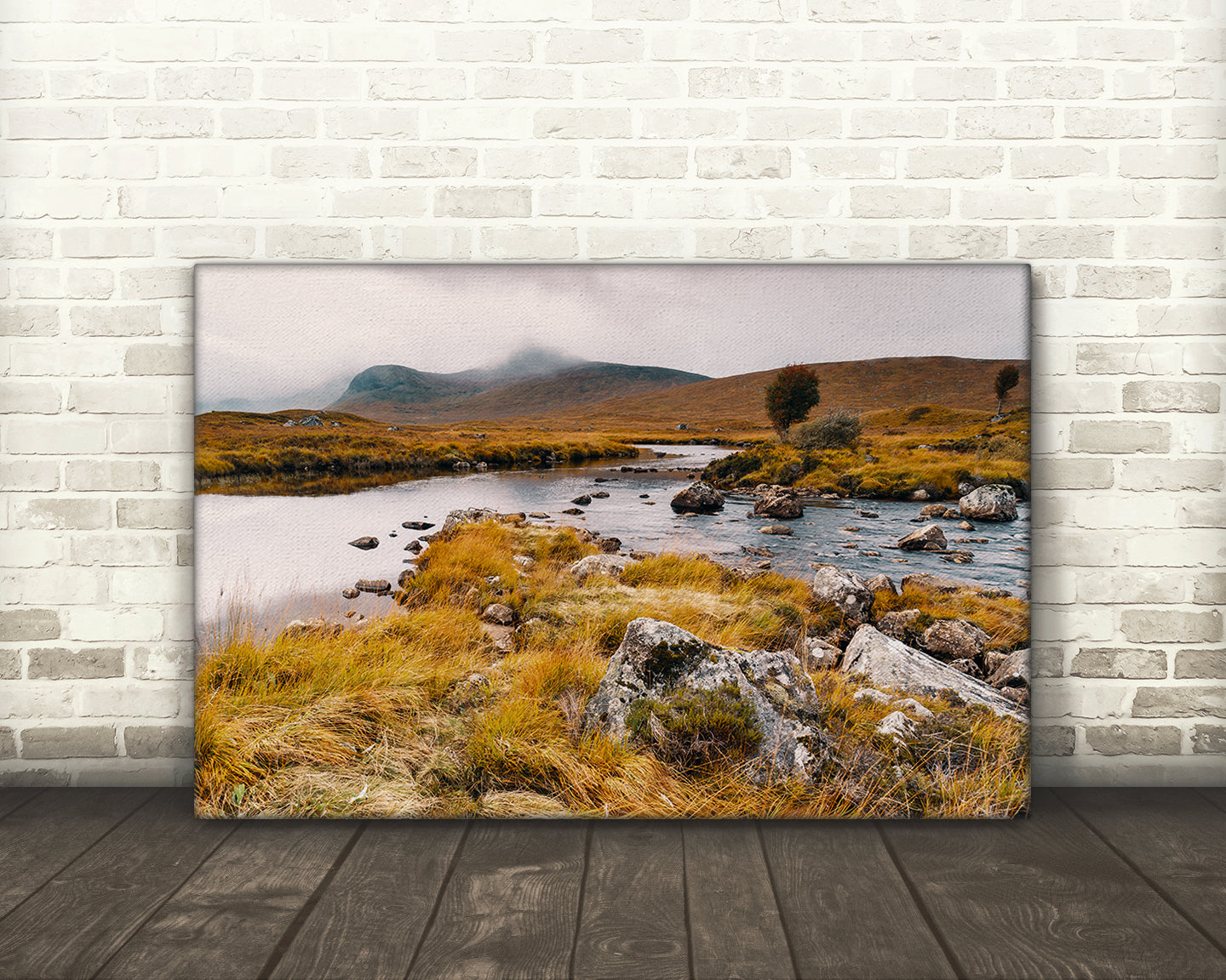 Riverscape, Loch Ba, Rannoch Moor, Scotland