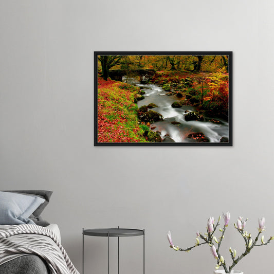 Framed canvas of Burrator Reservoir woodland in Dartmoor National Park during autumn