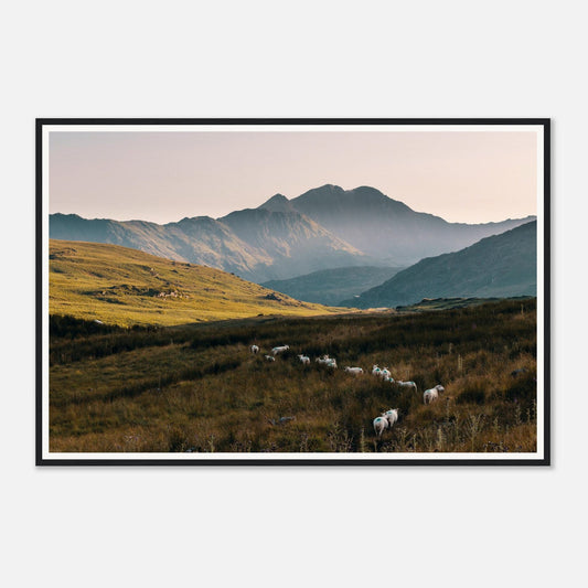 Scenic framed wall art of Snowdonia hills in golden light