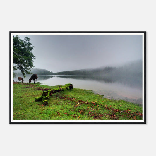 Gentle morning mist over Burrator Reservoir with tranquil waters